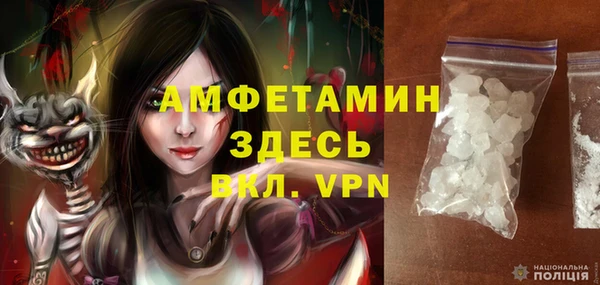 метадон Алексин