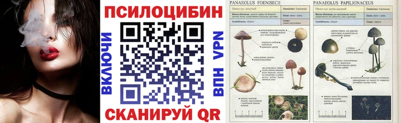 Галлюциногенные грибы мухоморы  Иркутск 
